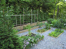 herb and kitchen gardens